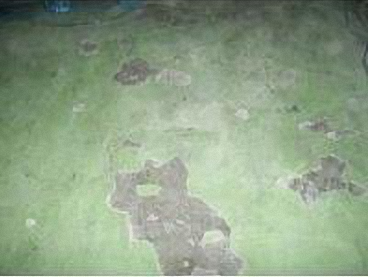 滄晟地坪漆_廠房地坪為何要進(jìn)行翻新的五大項！