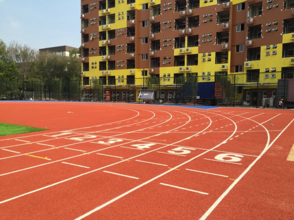 timg (6).jpg timg (6).jpg